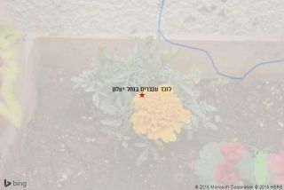 לוכד עכברים בנחל יעלון