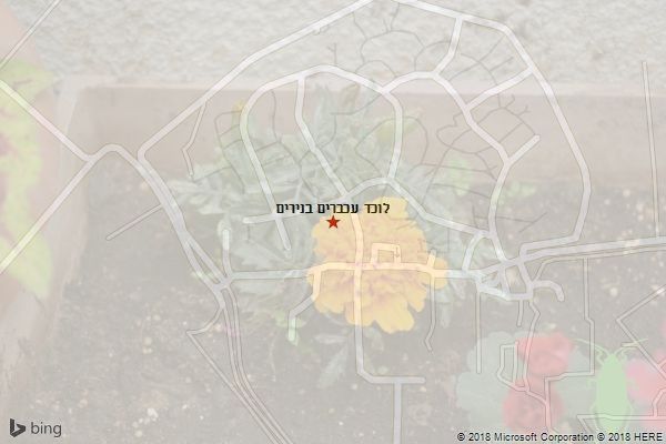 לוכד עכברים בנירים