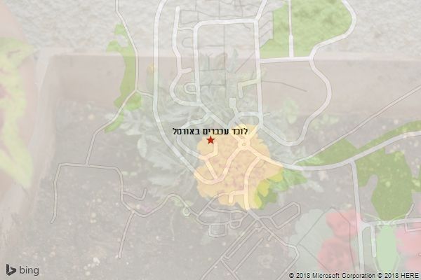 לוכד עכברים באורטל