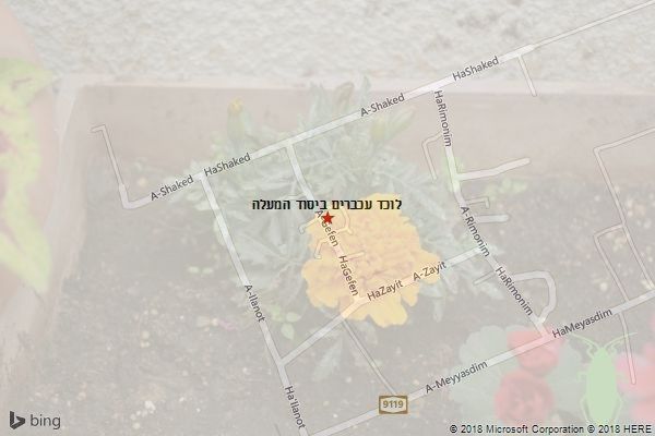 לוכד עכברים ביסוד המעלה