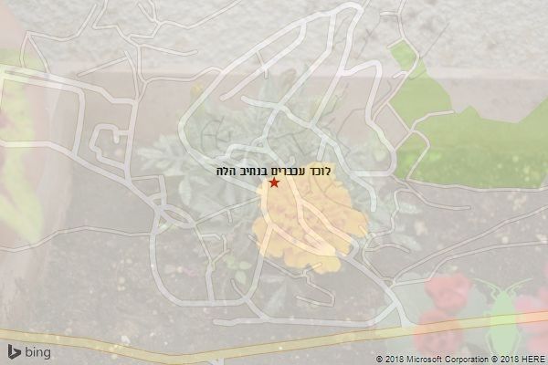 לוכד עכברים בנתיב הלה