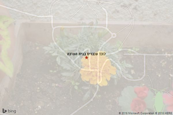 לוכד עכברים בבית הערבה