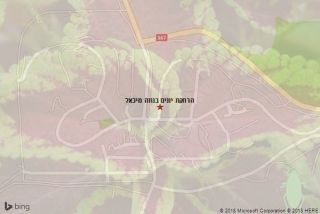 הרחקת יונים בנווה מיכאל