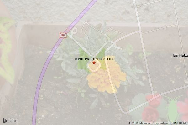 לוכד עכברים בעין חצבה