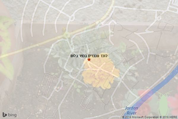 לוכד עכברים בכפר בלום