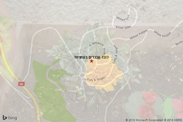 לוכד עכברים בעתניאל