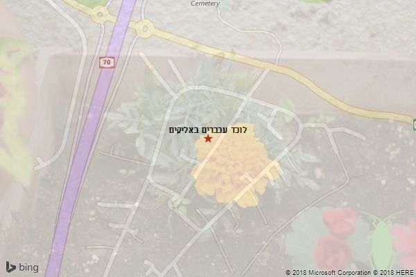 לוכד עכברים באליקים