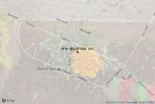 לוכד עכברים בכפר הריף