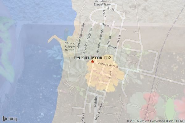 לוכד עכברים בשבי ציון