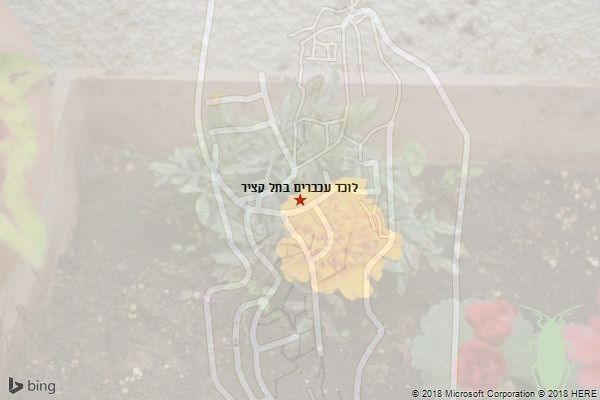 לוכד עכברים בתל קציר