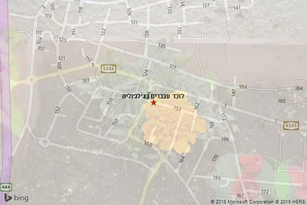 לוכד עכברים בג׳לג׳וליה