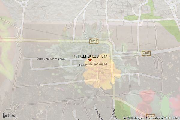 לוכד עכברים בגני הדר