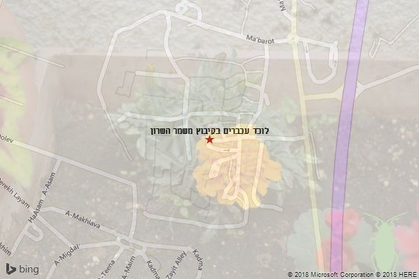 לוכד עכברים בקיבוץ משמר השרון