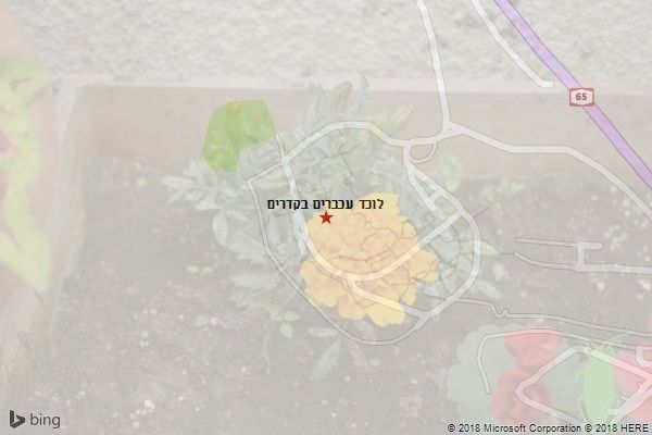 לוכד עכברים בקדרים