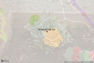 לוכד עכברים בקדרים