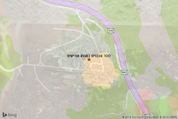 לוכד עכברים במבוא מודיעים