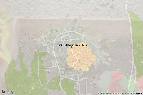 לוכד עכברים במאיר שפיה