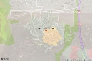 לוכד עכברים בכדורי