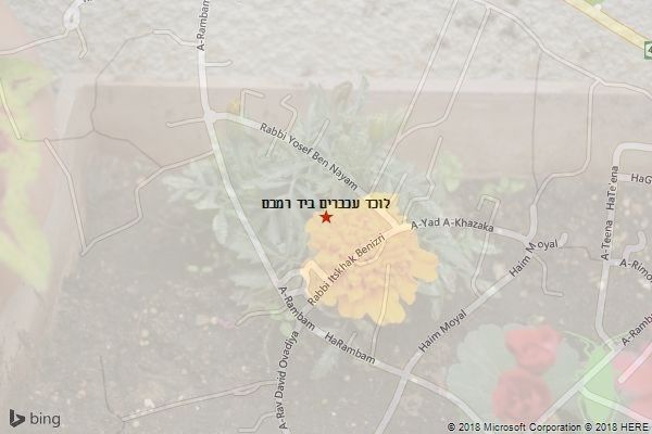 לוכד עכברים ביד רמבם