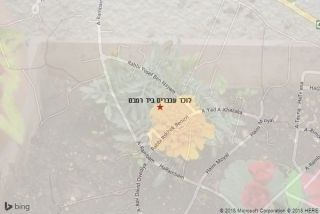 לוכד עכברים ביד רמבם