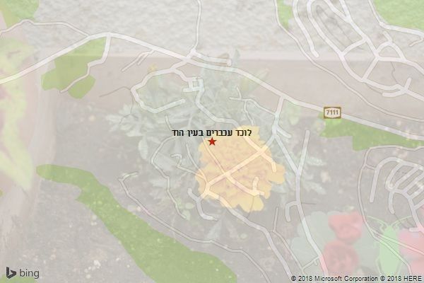 לוכד עכברים בעין הוד