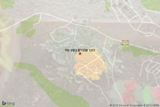 לוכד עכברים בעין הוד