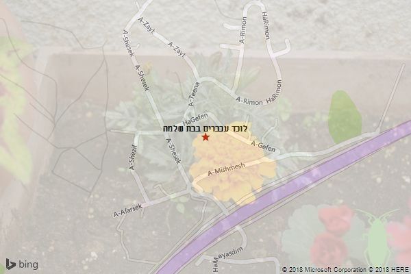 לוכד עכברים בבת שלמה