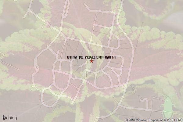 הרחקת יונים בקיבוץ עין החורש