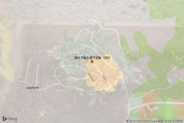 לוכד עכברים בעלי זהב