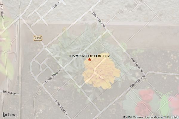 לוכד עכברים בתלמי אליהו