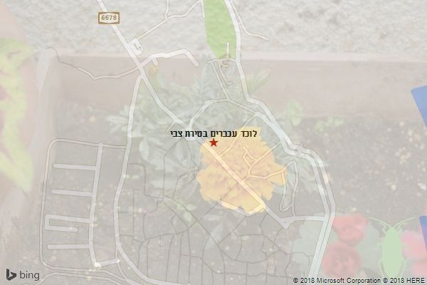 לוכד עכברים בטירת צבי