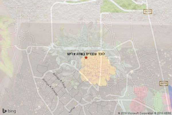 לוכד עכברים בשדה אליהו