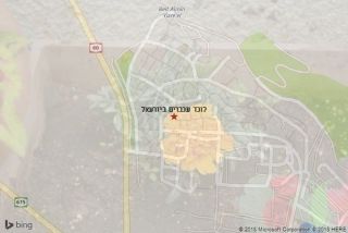 לוכד עכברים ביזרעאל