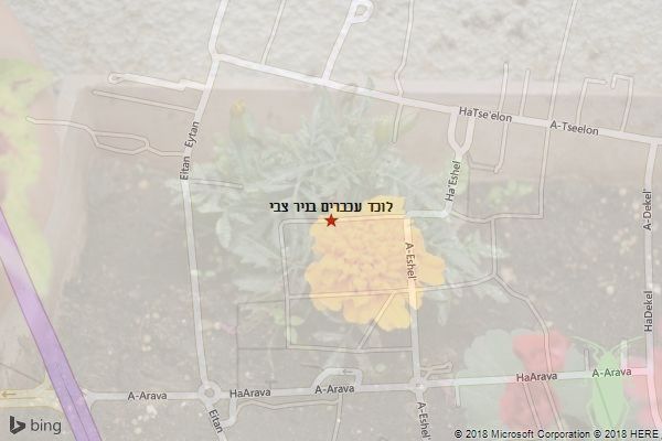 לוכד עכברים בניר צבי