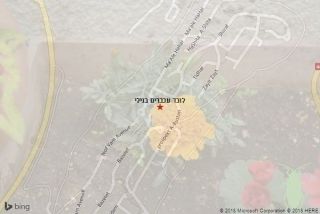 לוכד עכברים בנילי