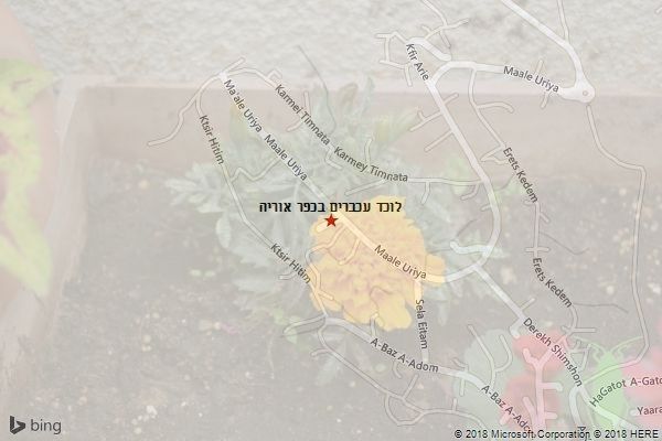 לוכד עכברים בכפר אוריה