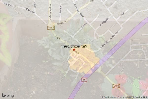 לוכד עכברים בעירון