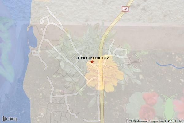 לוכד עכברים בעין גב