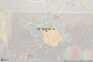 לוכד עכברים בניר יפה