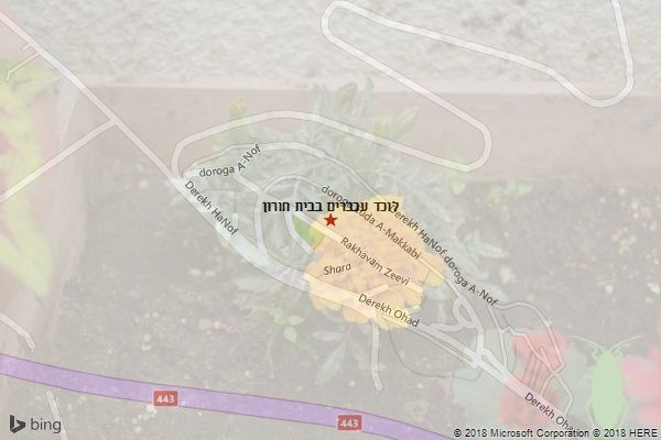 לוכד עכברים בבית חורון