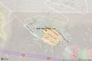 לוכד עכברים בבית חורון