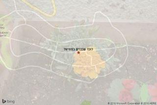 לוכד עכברים בצוריאל