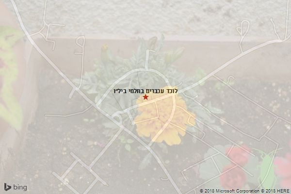 לוכד עכברים בתלמי ביל״ו