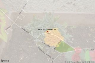 לוכד עכברים בכפר אחים