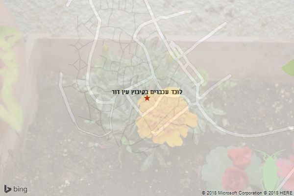 לוכד עכברים בקיבוץ עין דור