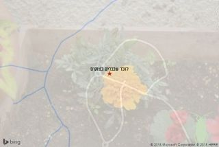 לוכד עכברים בצוקים