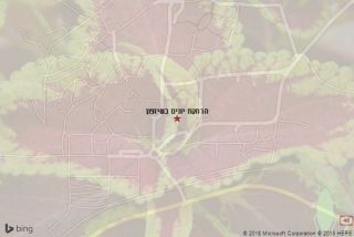 הרחקת יונים בשיזפון