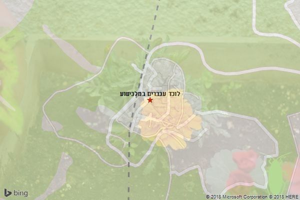 לוכד עכברים במלכישוע