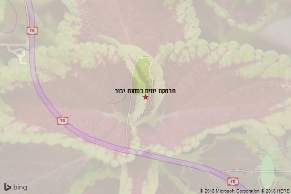 הרחקת יונים במחנה יבור