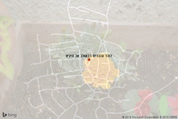 לוכד עכברים בכאוכב אל היג׳א